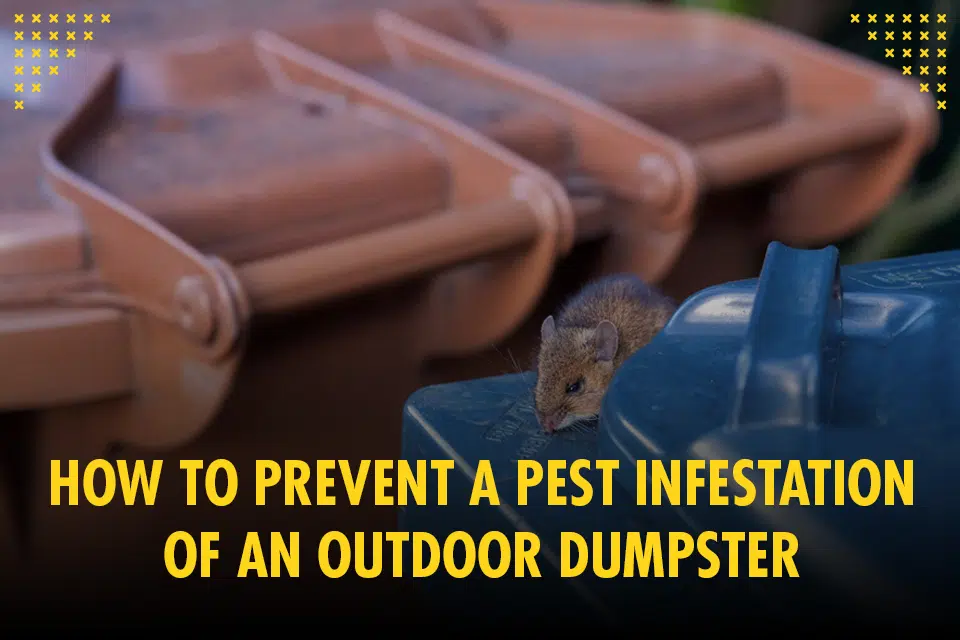 prevent a pest infestation of an outdoor dumpster