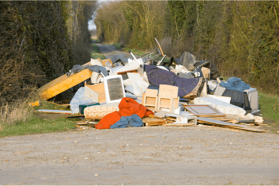 Featured image for “The Negative Impacts of Illegal Dumping: Why We Need to Act Now?”