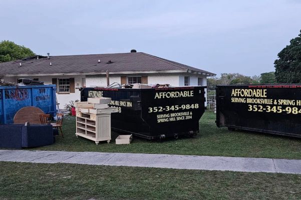 Featured image for “Dumpster Rental for Junk Removal: Is It Better Than a Junk Hauling Service?”